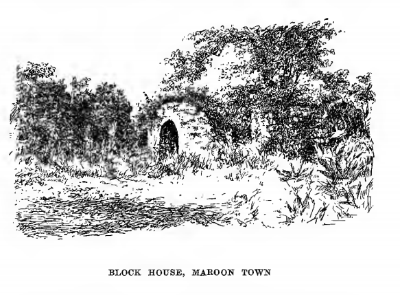 Trelawny Town Stone Remains