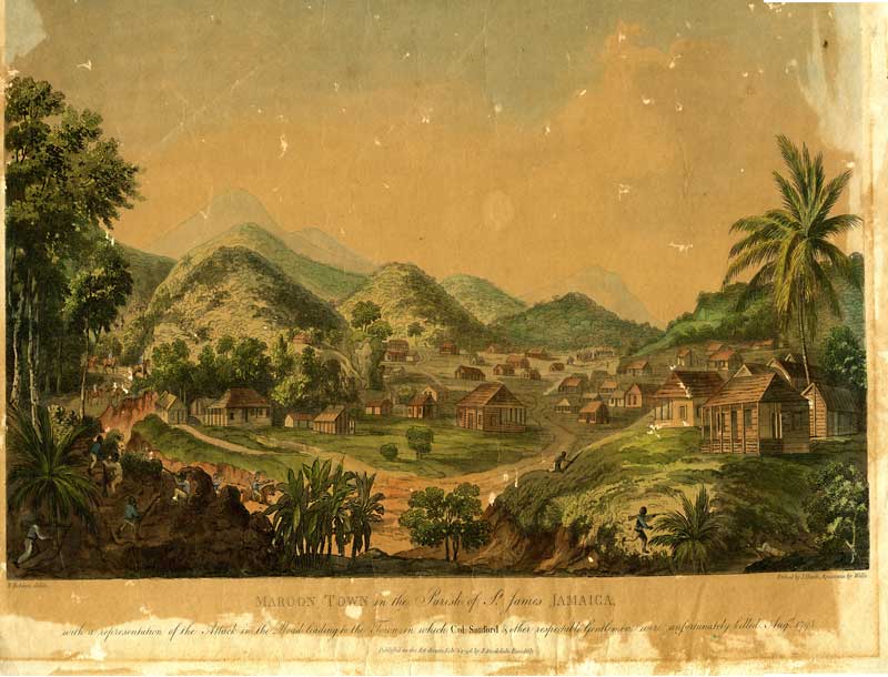 Illustration of Trelawny Town